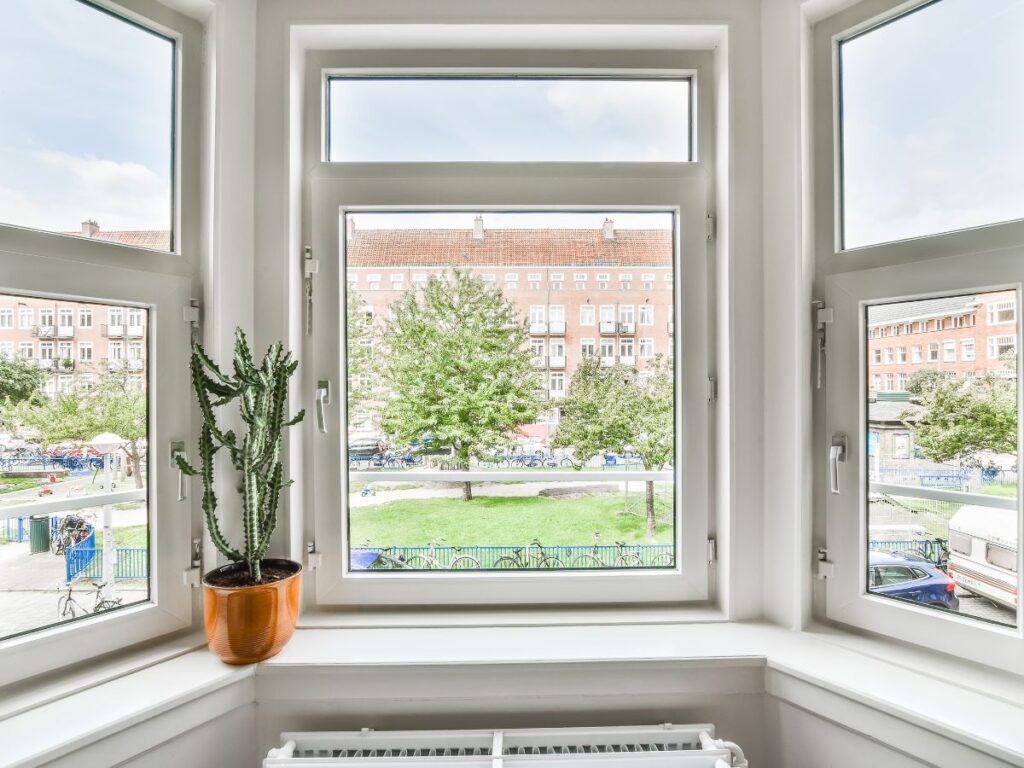 Bay window with cactus overlooking a city park.