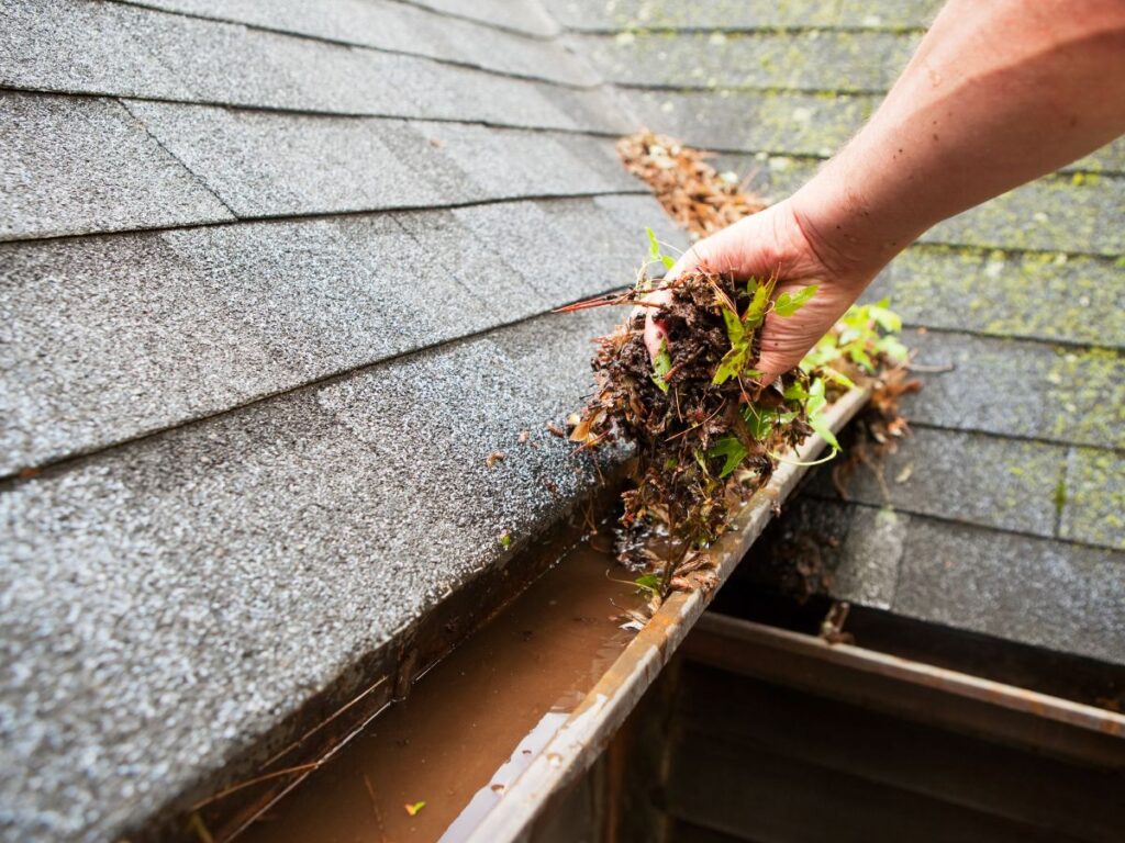 Hand clearing leaves and debris from a roof gutter.