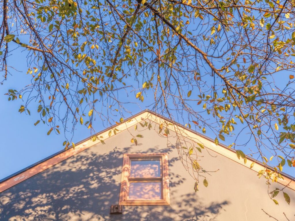 Tree branches overhanging a home's rooftop, casting shadows on the wall.