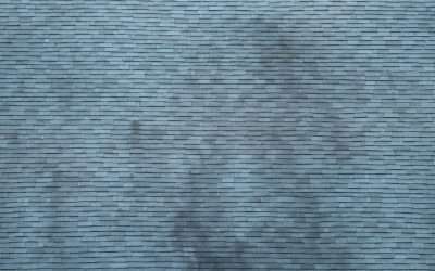 Black Streaks on Roof? (5 Common Causes + Repair Options)